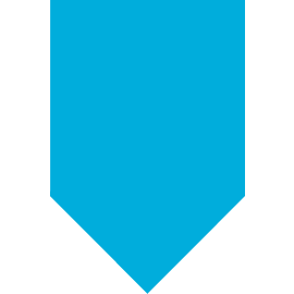 Arcserve, LLC logo