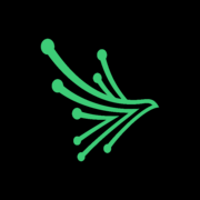 Black Kite logo